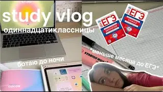 ♡STUDY vlog: до ЕГЭ меньше месяца, ботаю химбио