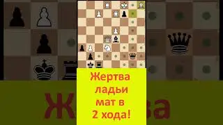 Жертва ладьи. Мат в 4 хода! #shorts #chess #шахматы #шахматыонлайн