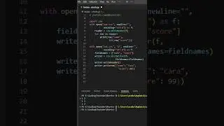 Python on Speed ⚡: 29. Read/Write CSV in Python