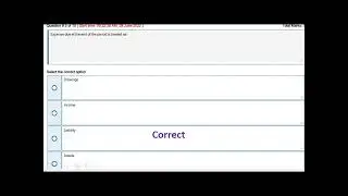 MGT101 Quiz 2 Spring 2022