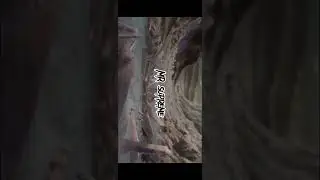 Wdym (slowed + reverb)