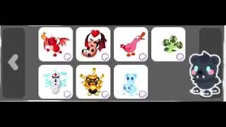 all the ANIMATED stickers in adopt me 
