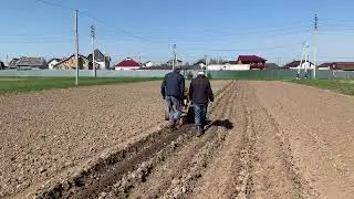 посадка картошки под плуг мотоблоком 2022