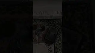 بے شک 💯❣️ #islamic_quotes #islamicvideos #boycottmusic #Al-Quran