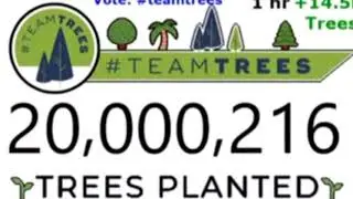 TeamTrees and MrBeast get to 20,000,000 trees.