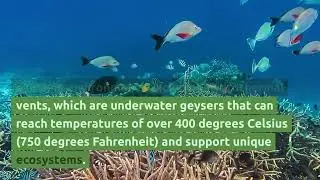 10 Interesting facts about ocean