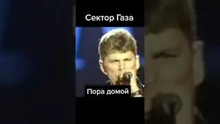 Сектор Газа 🎸