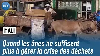 Bamako : quand les ânes ne suffisent plus à gérer la crise des déchets