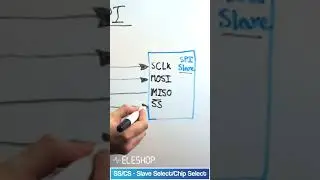 What is SPI? 