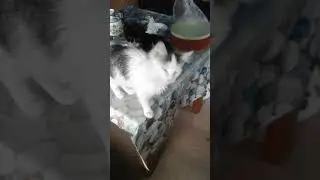 Кому они нужны?