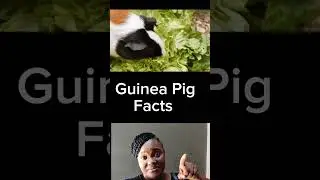 Bizarre Facts that will blow your minds #youtubeshorts #shorts