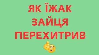 ЇЖАК ТА ЗАЄЦЬ УКРАЇНСЬКА НАРОДНА КАЗКА