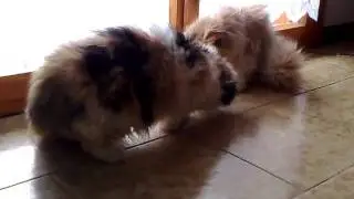 Marla e Tabitha