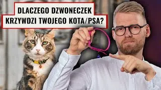 Obroża z dzwoneczkiem dla psa i kota...  Ozdoba czy tortura?