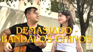 .𖥔 ݁ ˖ demsiado - bandalos chinos: cover by diana y dante .𖥔 ݁ ˖