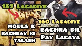 FAIZAN K BACHRAY KI TALASH KON KON SI MANDIYAN KARIN THIN HUMNAY BHARPOOR BARGAINING SODA BANA YA NI