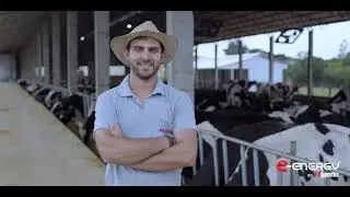 Alcaline Power 4 Energias - Experiência de quem usou o alcaline (Produtor de Ovos, Frangos e Gado)