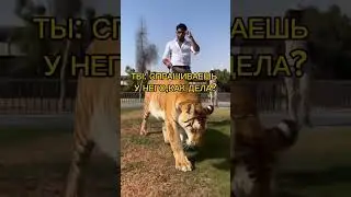 Чей кент? #юмор #приколы #тикток #друг #кент #топ #shortsvideo