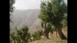 Yücebağ Cacas Slaytı (Bilind Îbrahîm - Gewrê Nayê)