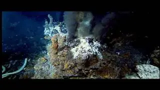 Bacteria | Biology | Bacteriology