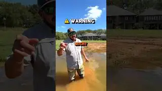 🏡 DON’T BUY A HOME IN LOUISIANA