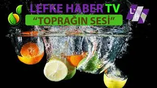 TOPRAĞIN SESİ SAMİ DAYIOĞLU Eski Tarım Bakanı-Üretici - EMİN BAHÇIVAN - Bal Üreticisi