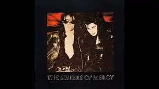 The Sisters of Mercy   This Corrosion