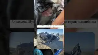 Арген Аружан попали в Аварию
