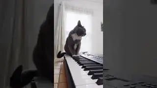 Who loves it? 🤣