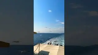 Seagulls are flying behind the ship,Aegean Sea,Mount Athos,Greece/Чайки летят за кораблем,Гора Афон