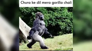 Memes only legends will find funny | Legend memes | Dank memes | Dirty memes 😂 