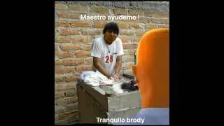 El maestro doggy - clase  miercoles 9 marzo 2022