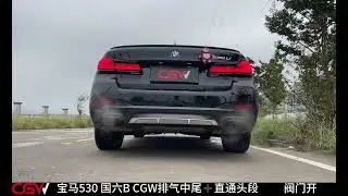 BMW 530，CGWexhuast， #bmw530  #exhuastsound  #carsounds   #modified  #modifiedcars   #Modification