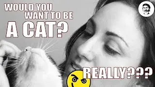 Would you want to be a Cat? Really?