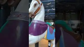 Royal Caribbean Cruise Day 3 Summer 2023