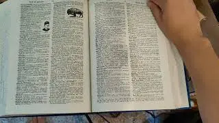dictionary 9