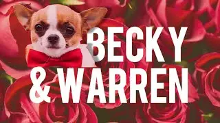 Wall Street Wauzi - Becky & Warren (Official Music Video)