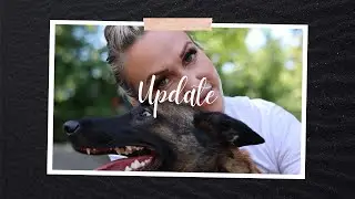 Update