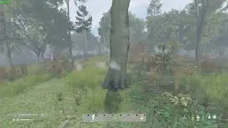 DayZ Just my luck