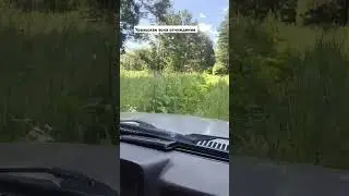 Уральская зона отчуждения #денсталк #урал #вурс