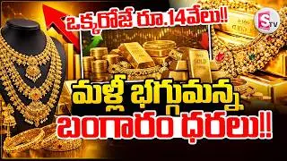 Today Gold Rate Updates Again Gold Prices | Gold Rate Today | Gold rate 2026 | SumanTV Sai