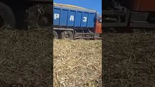 ВОТ ЭТО ПО НАШЕМУ 👍