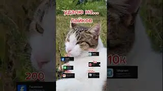 5 октября 2024 г.