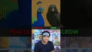 Which Animal Is More Dangerous?
