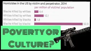 Black Crime is due to Culture, NOT race, and NOT Poverty?