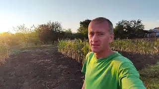 Купили дом в станице. Две поездки. Долгожданный дождь.