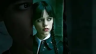𝗪𝗲𝗱𝗻𝗲𝘀𝗱𝗮𝘆 || 𝗘𝗱𝗶𝘁 || 𝗪𝗵𝗮𝘁𝘀𝗮𝗽𝗽 𝗦𝘁𝗮𝘁𝘂𝘀
