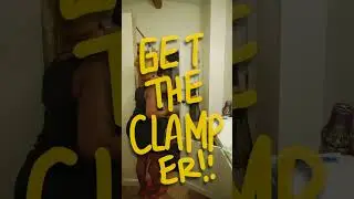 Chaos Ensues... Alligator in the house!
