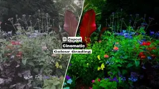 Capcut Cinematic Colour Grading | Capcut Hindi Tutorial | Video Colour In Capcut Video Editor