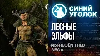 Total War: Warhammer - древолюды наступают! Co-Op кампания за эльфов ч.2